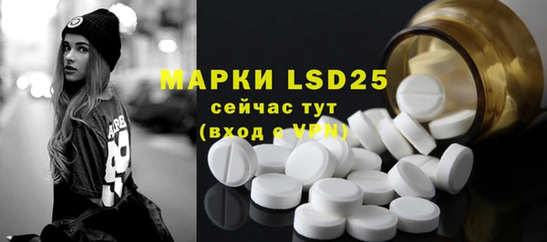 PSILOCYBIN Вязники