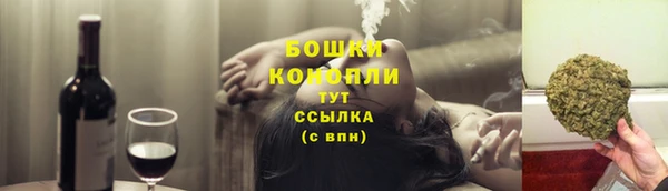 PSILOCYBIN Вязники