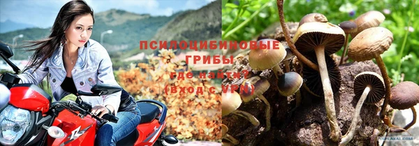 соль курить ск Вязьма