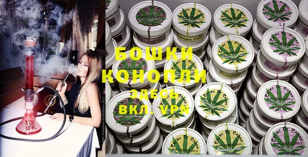 PSILOCYBIN Вязники