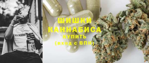 PSILOCYBIN Вязники