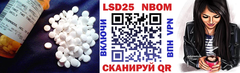 блэк спрут зеркало  Владимир  Лсд 25 экстази кислота 